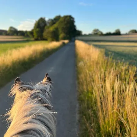 Apartament Kleine Auszeit - Urlaub Auf Dem Bauernhof Immenstedt (Dithmarschen)