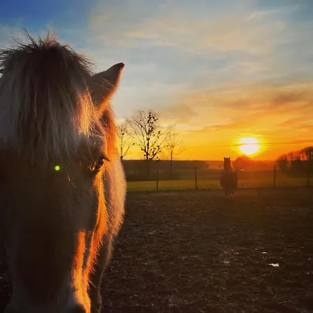 Kleine Auszeit - Urlaub Auf Dem Bauernhof