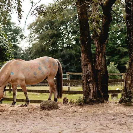 Kleine Auszeit - Urlaub Auf Dem Bauernhof * Immenstedt (Dithmarschen)
