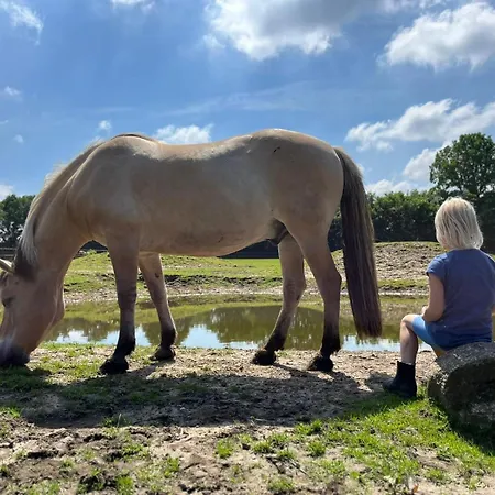 Apartament Kleine Auszeit - Urlaub Auf Dem Bauernhof