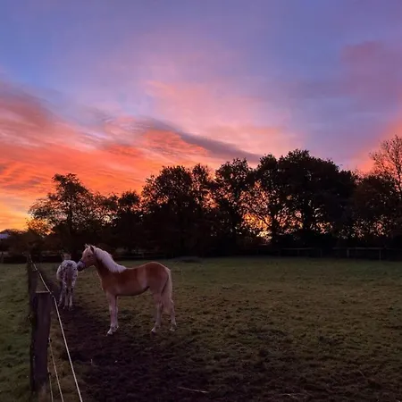 Apartament Kleine Auszeit - Urlaub Auf Dem Bauernhof Immenstedt (Dithmarschen)