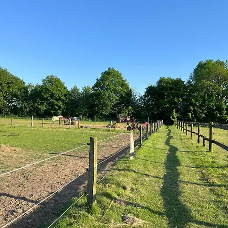 Kleine Auszeit - Urlaub Auf Dem Bauernhof Immenstedt (Dithmarschen)