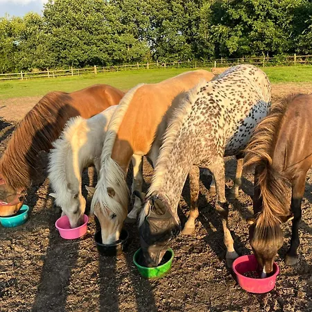 Apartament Kleine Auszeit - Urlaub Auf Dem Bauernhof