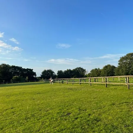 Kleine Auszeit - Urlaub Auf Dem Bauernhof * Immenstedt (Dithmarschen)